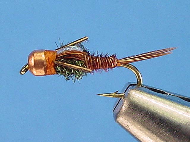 Bead Head Flash Back Pheasant Tail – Charliesflybox