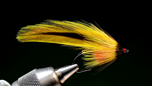 Platte River Special Fly Tying Video