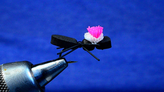 Snoball Beetle Fly Tying Video