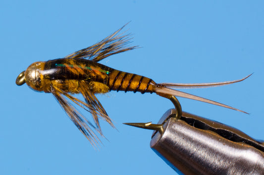Two Bit Stone Fly Tying Video