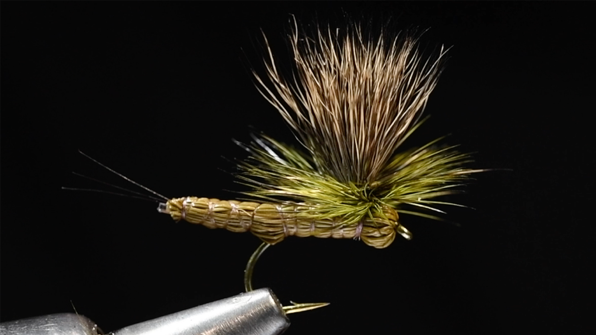 Paradrake Fly Tying Video charliesflybox