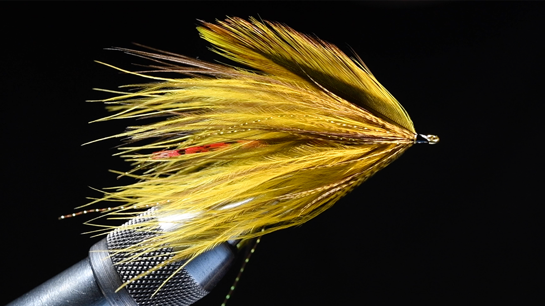 Platte River Spider Fly Tying Video – charliesflybox