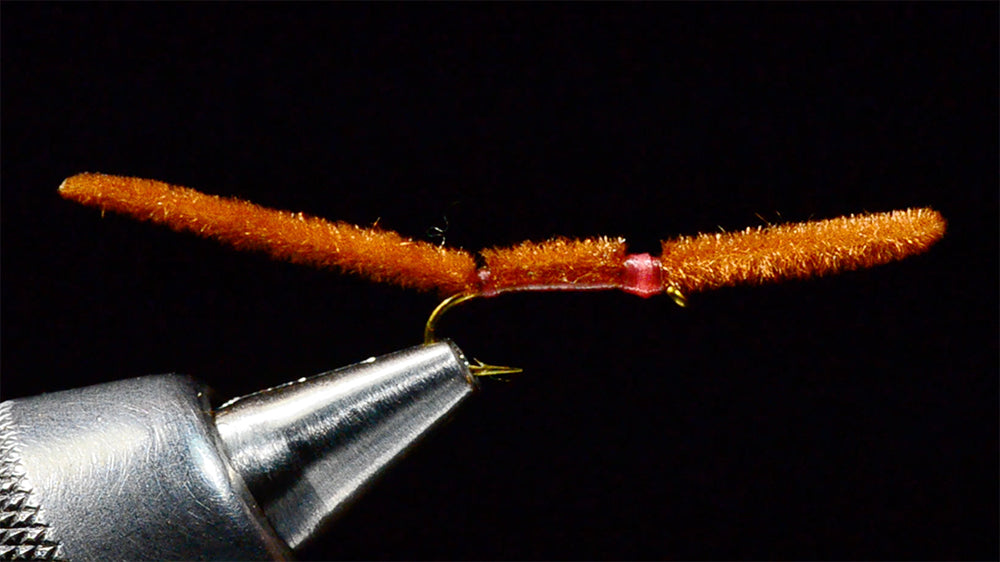 Squirmy Wormy – close to being a live worm Squirmy Wormy – close to being a live worm