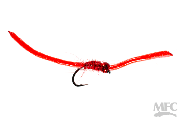 trinas squirm 1