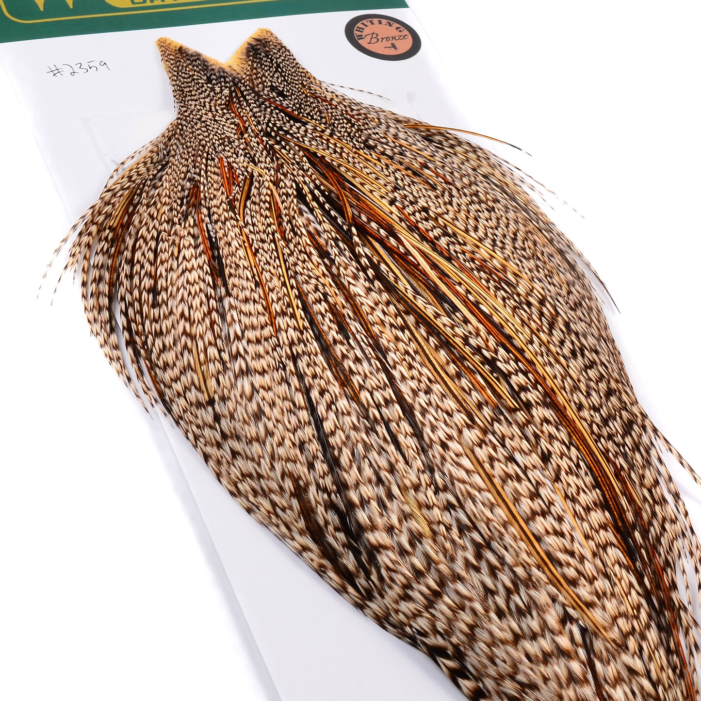 Hebert Bronze Grade Cape, Grizzly Variant