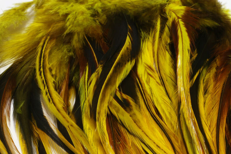 Badger Saddle Hackle, Strung