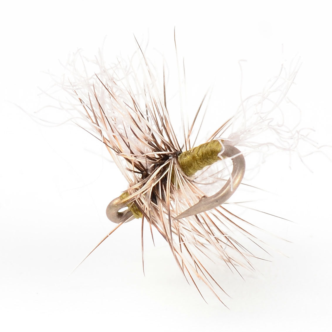 Bucky-Midge-Cluster-2