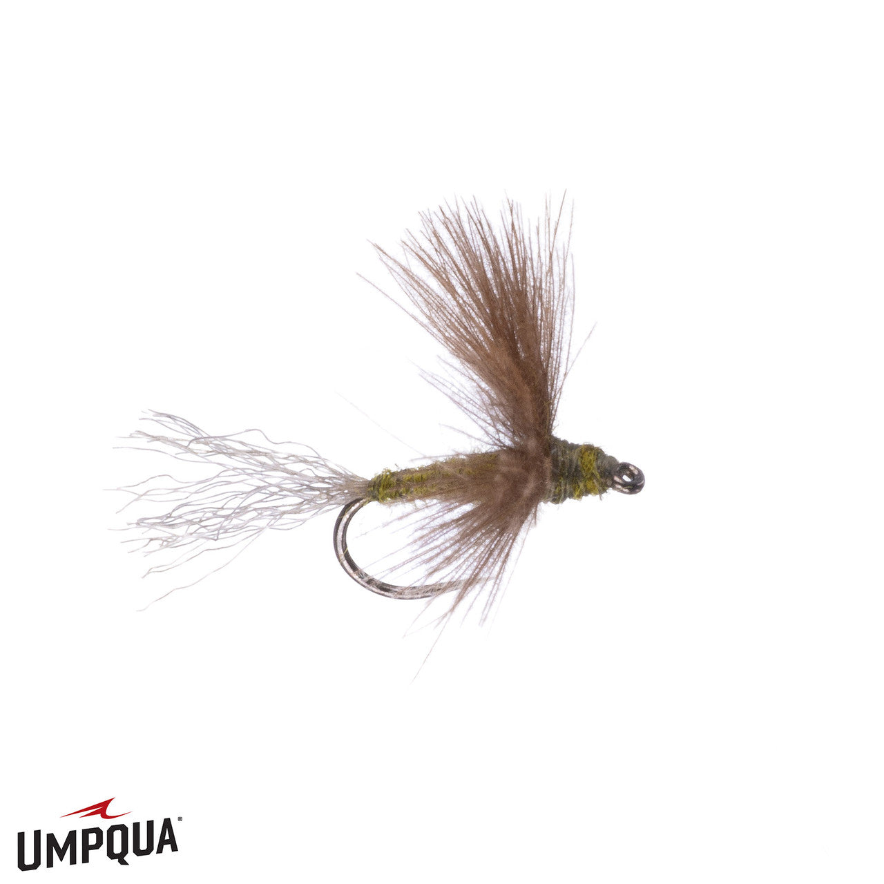 CDC Sparkle Dun, Mathews'