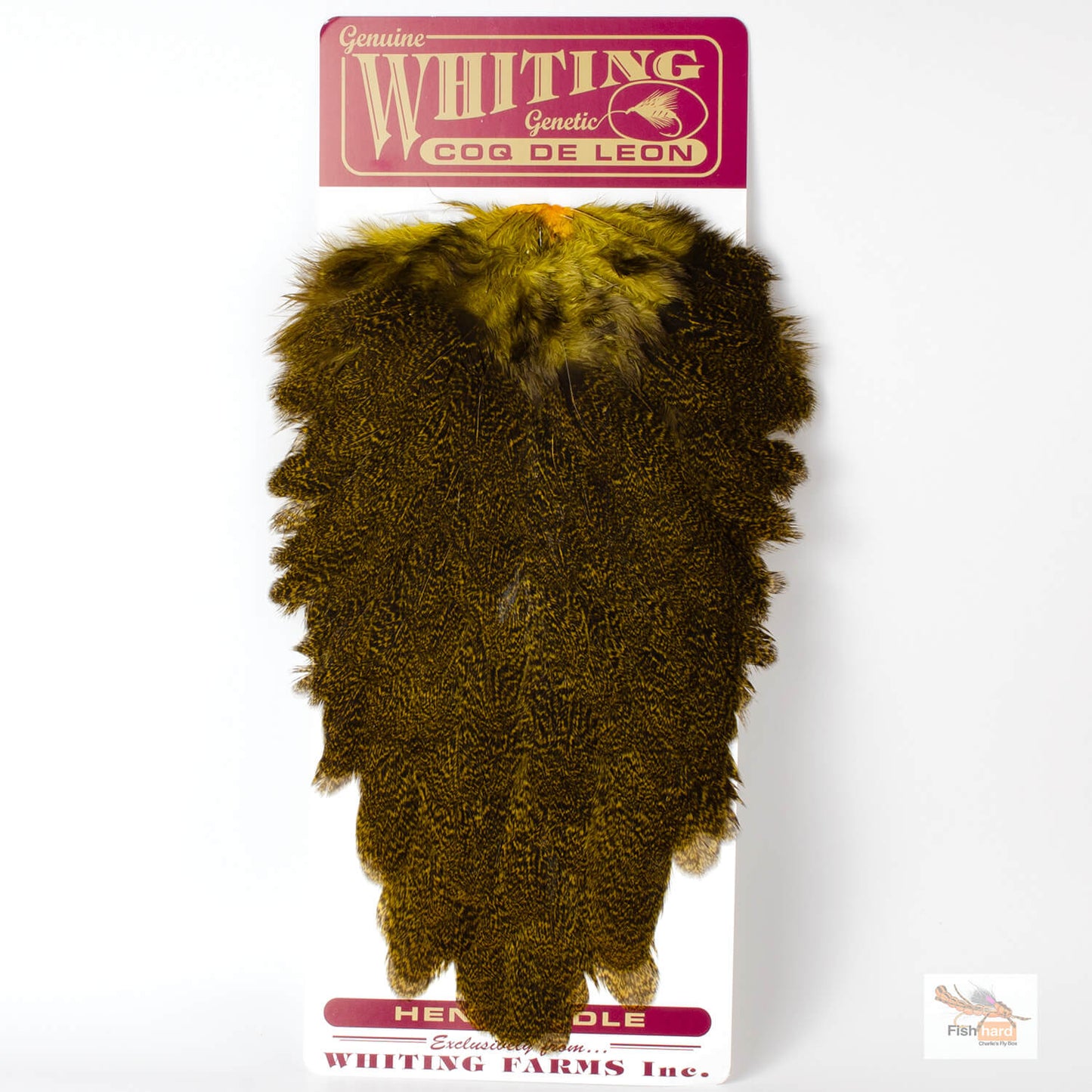 CoqdeLeonHenSaddle_Yellow