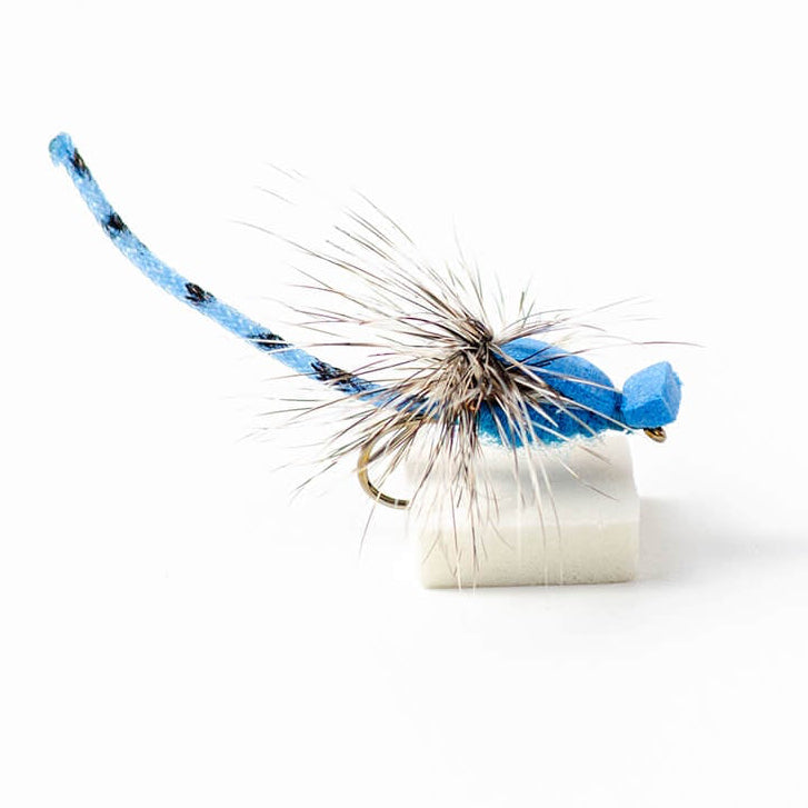 Fishing lure with blue and white details on a white background