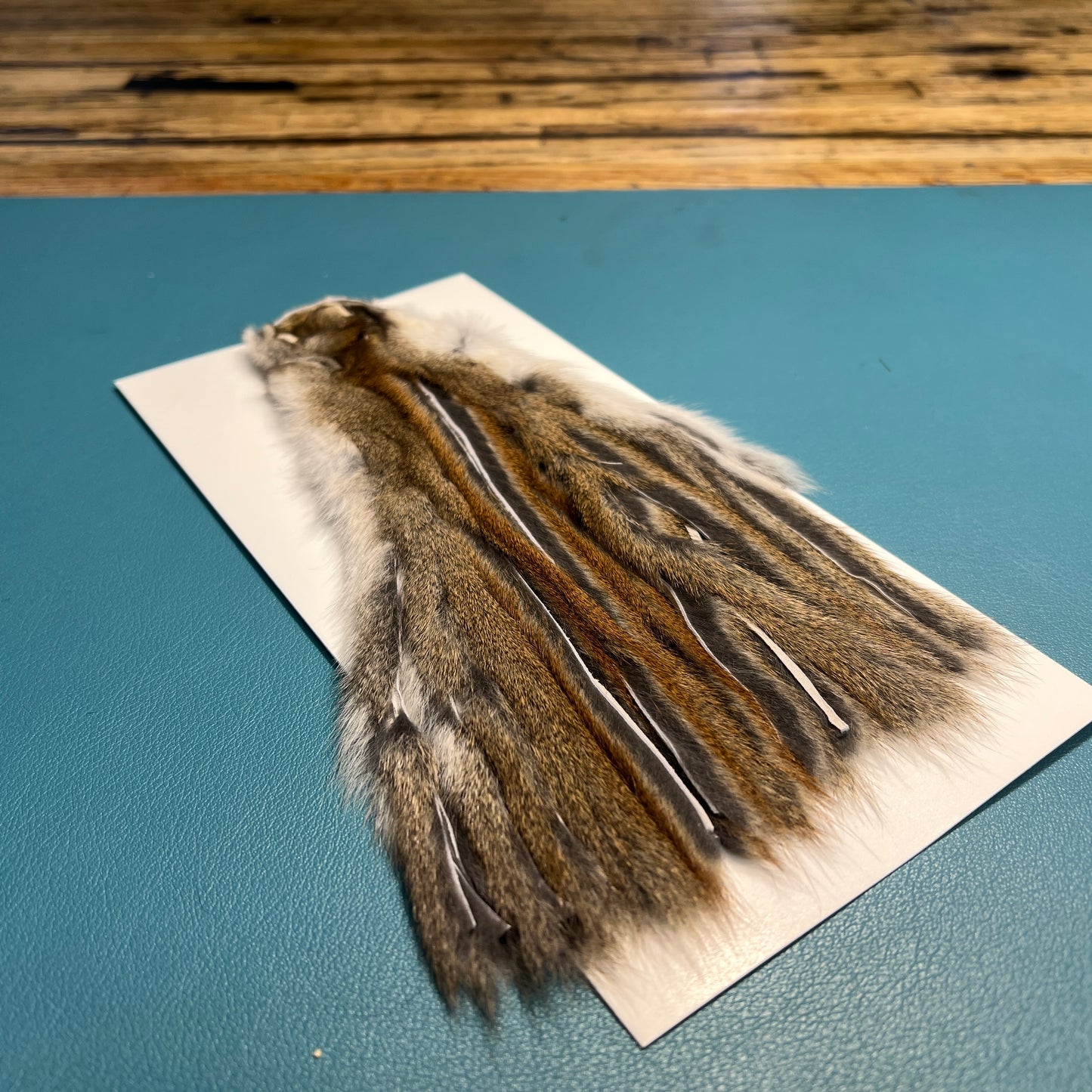 Whole Zonker Cut Squirrel Skins