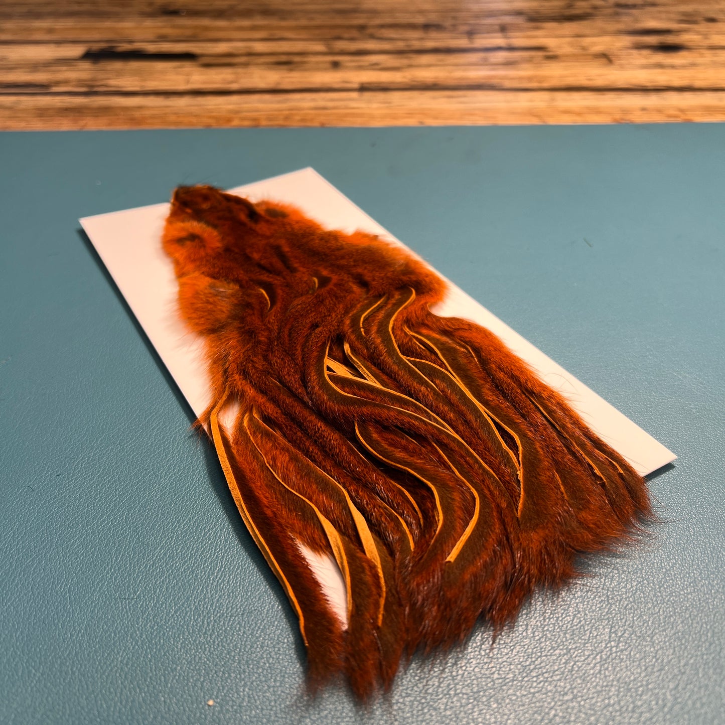 Whole Zonker Cut Squirrel Skins