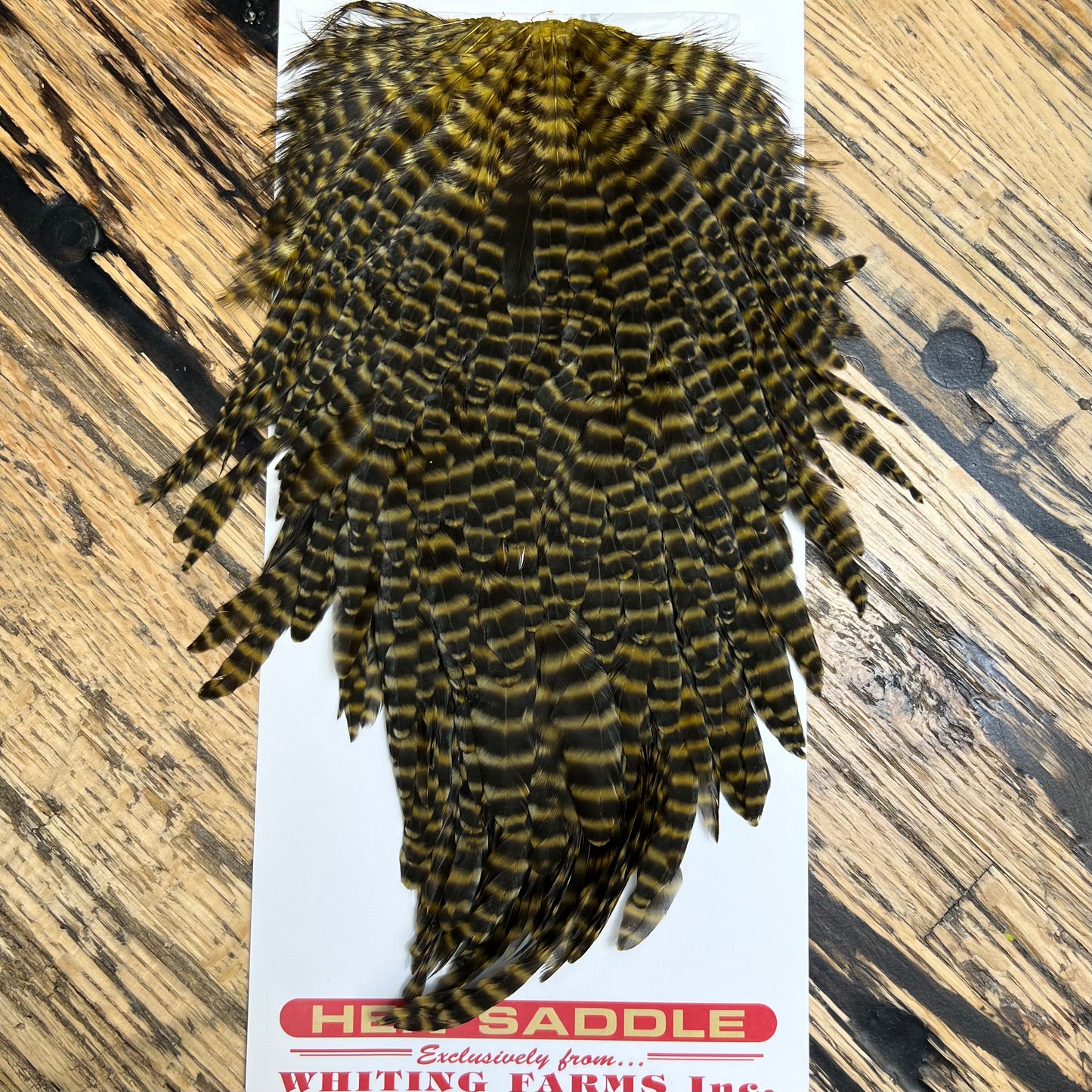 Whiting/Hebert Hen Saddle