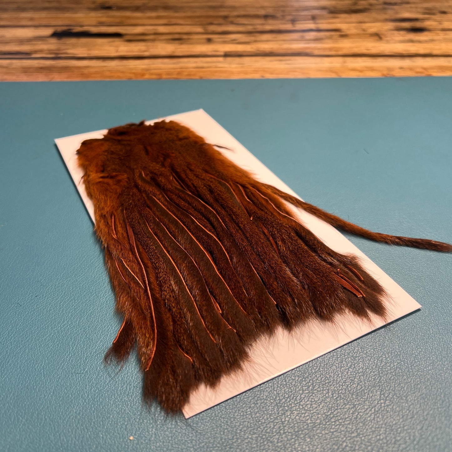 Whole Zonker Cut Squirrel Skins