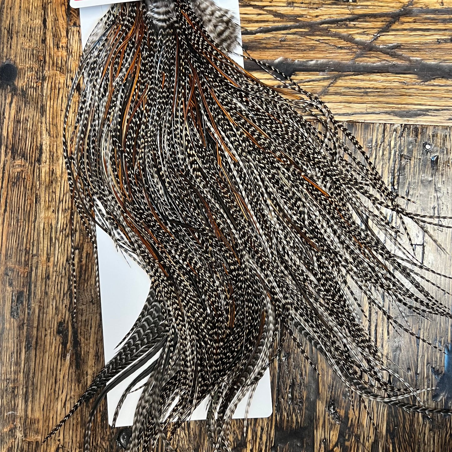 Whiting Bronze Saddle, Grizzly Variant