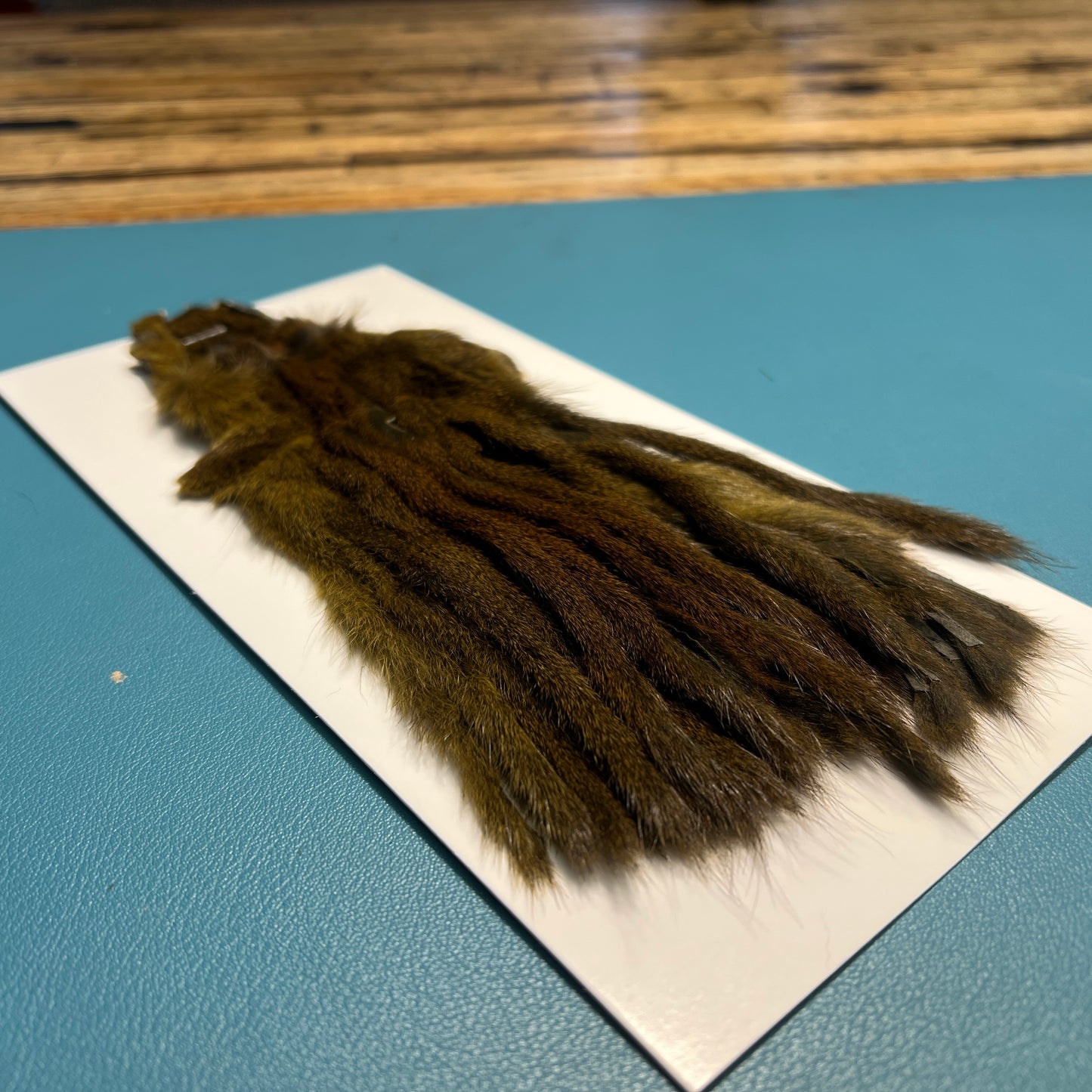 Whole Zonker Cut Squirrel Skins