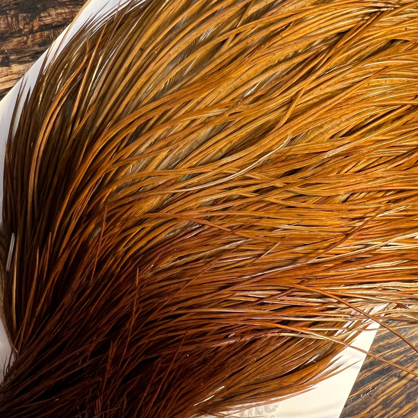 Whiting Bronze Grade Cape, Dun Dyed Rusty Ginger