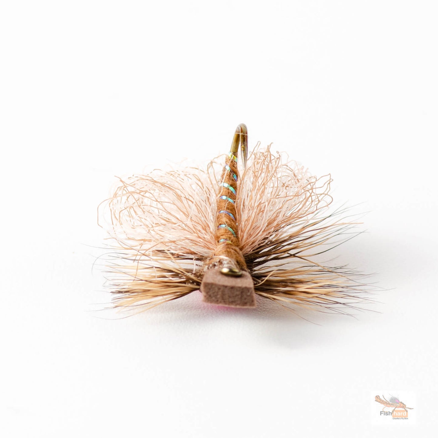 $4.00 Shop Fly