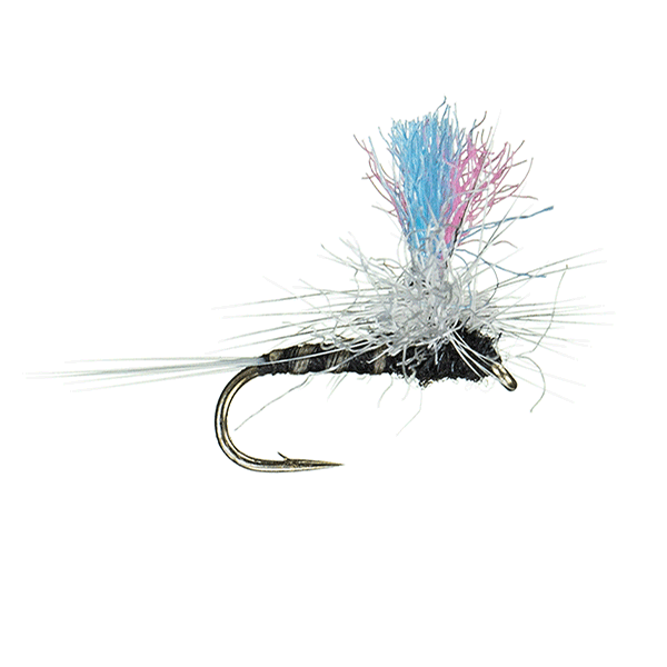 Guide Winna Spinna, Trico