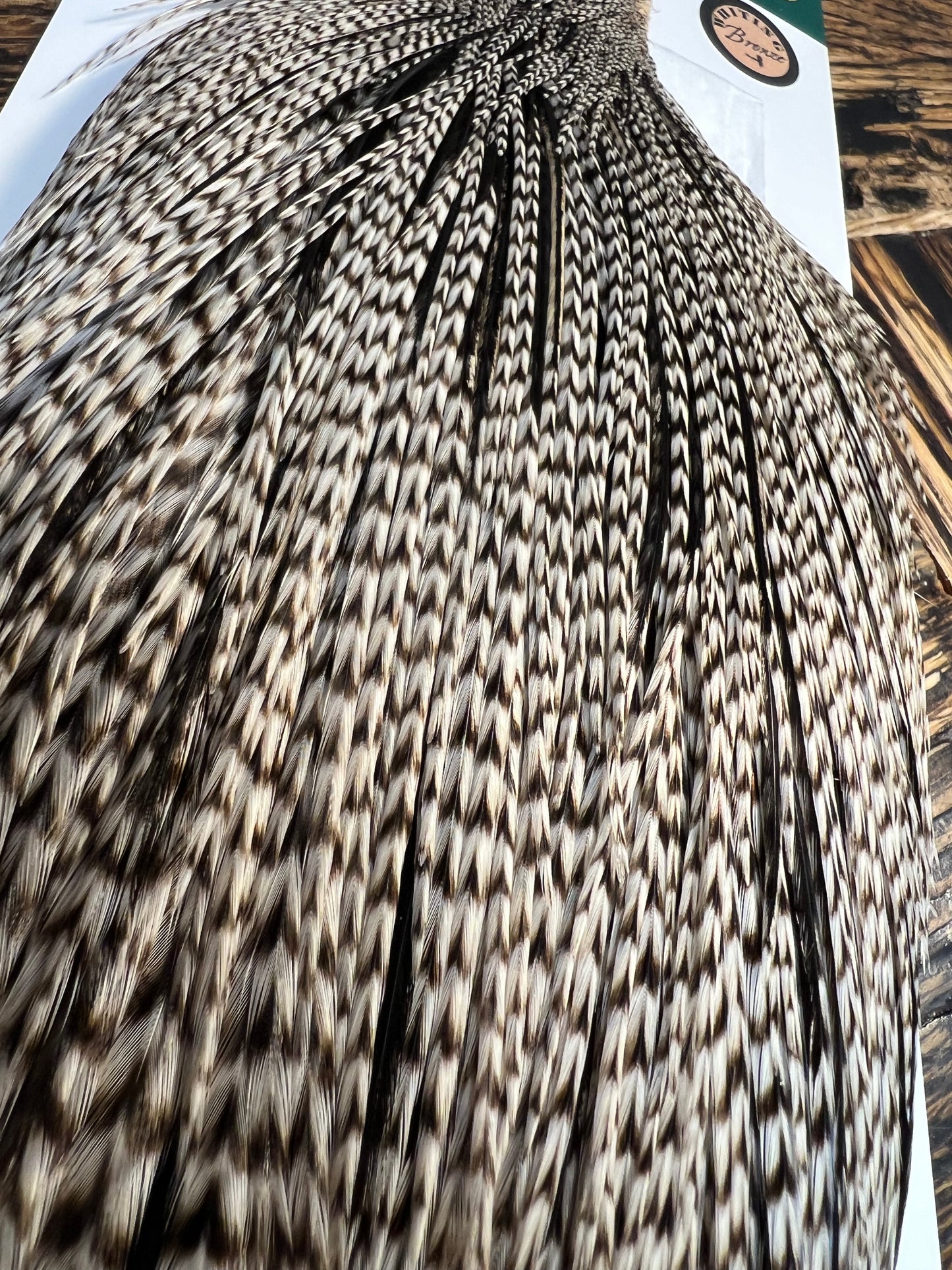 Hebert Bronze Grade Cape, Grizzly Variant