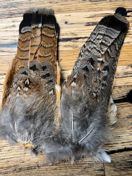 Grouse Tails