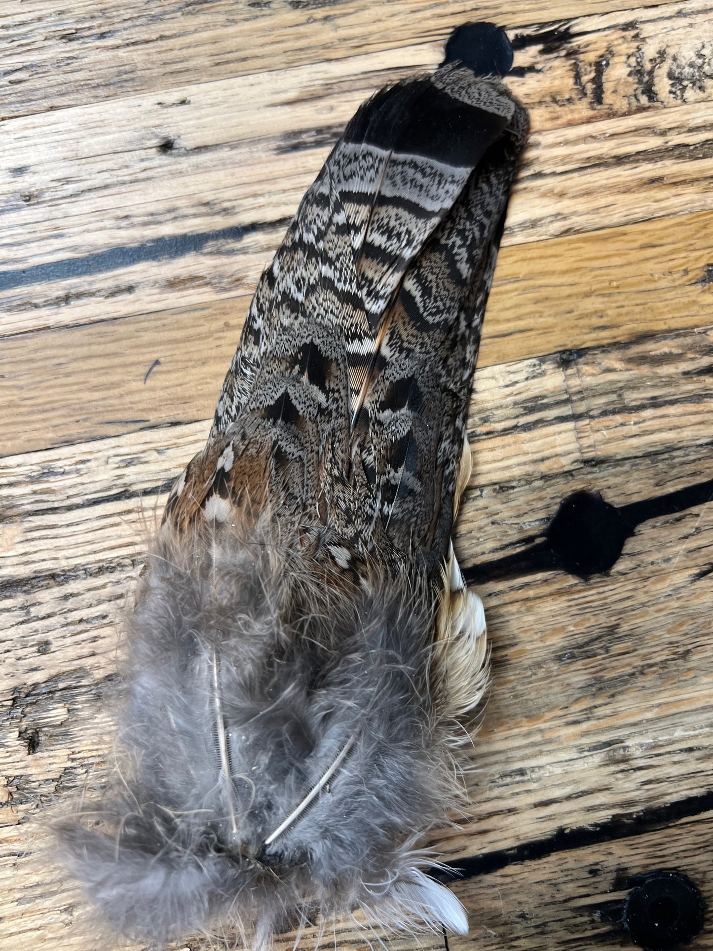 Grouse Tails