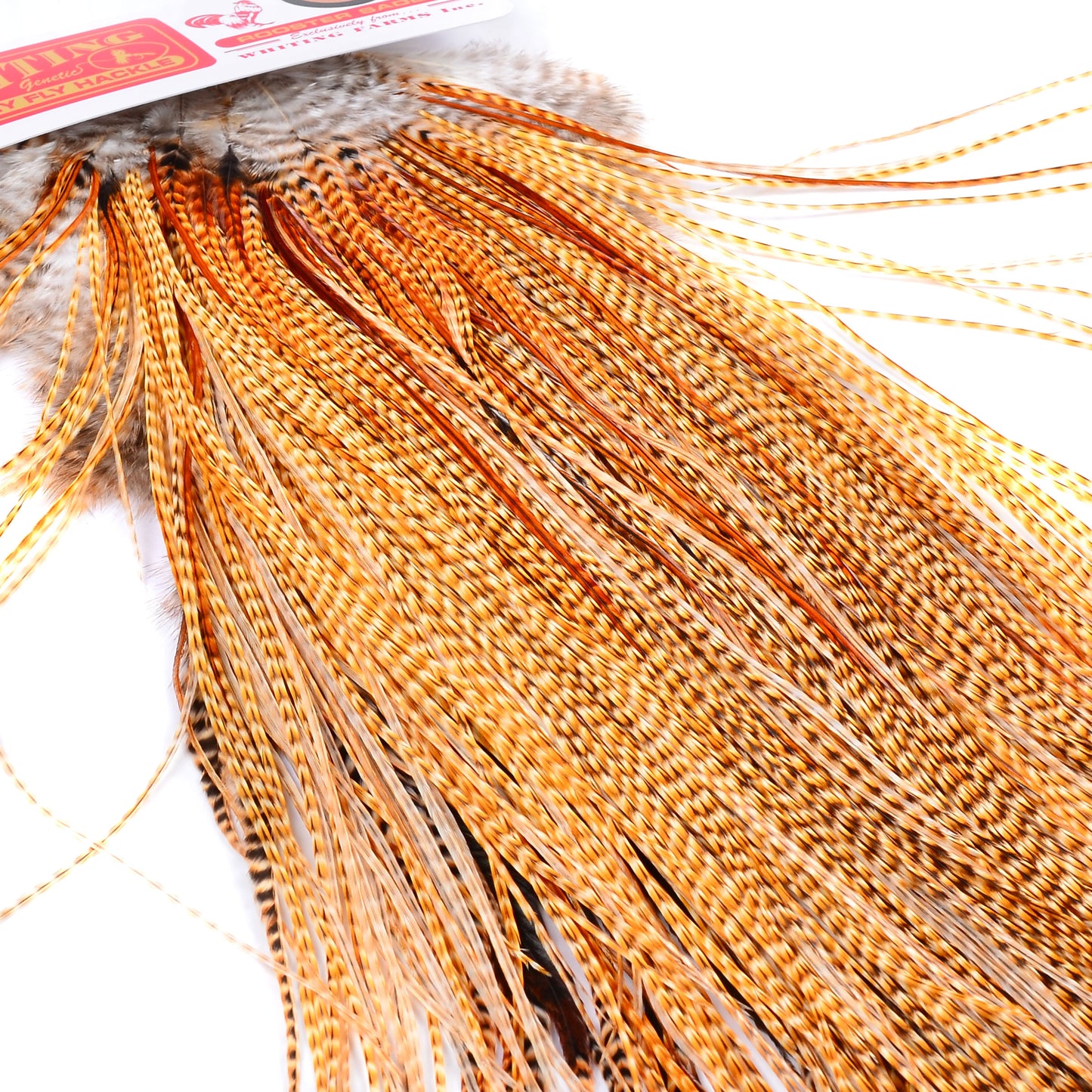 Whiting Midge Saddle, Barred Medium Ginger