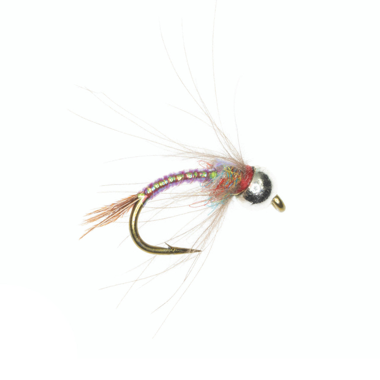 CDC Tungsten Rainbow Warrior, Egan's