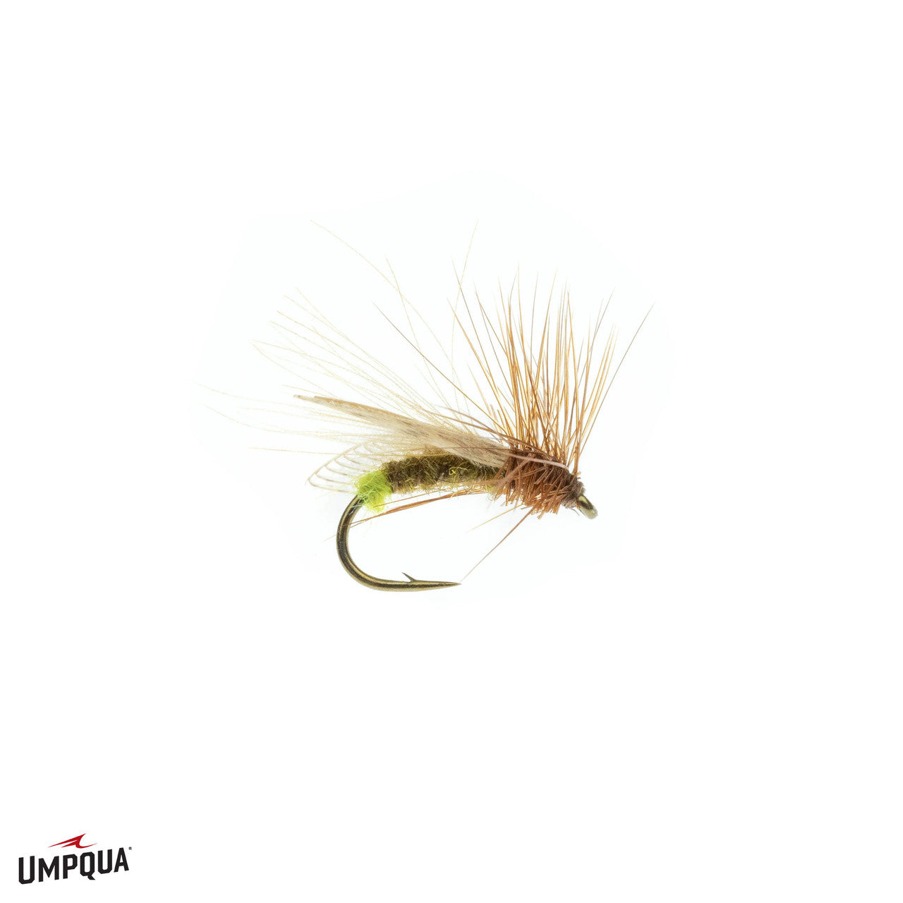 Resting Caddis, Gerbec's