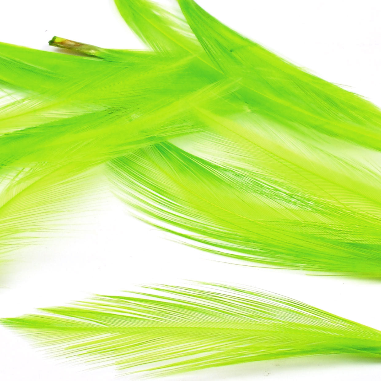 Nature's Spirit Dry Fly Tailing Packs (Spade Hackle)