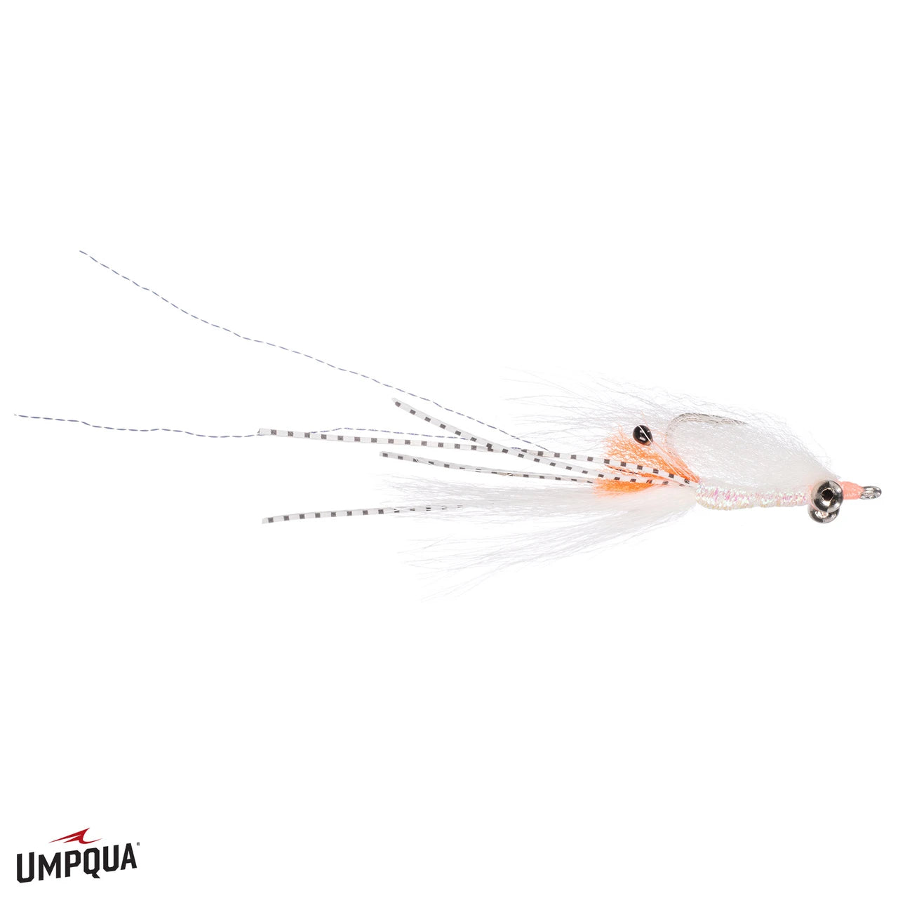 Spawning Shrimp