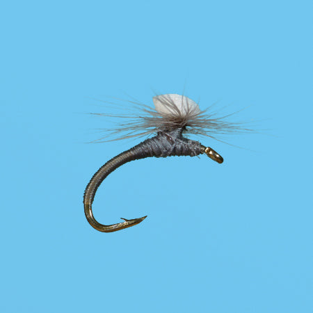 Sprout Midge