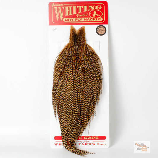 Whiting Bronze Grade Cape, Cree