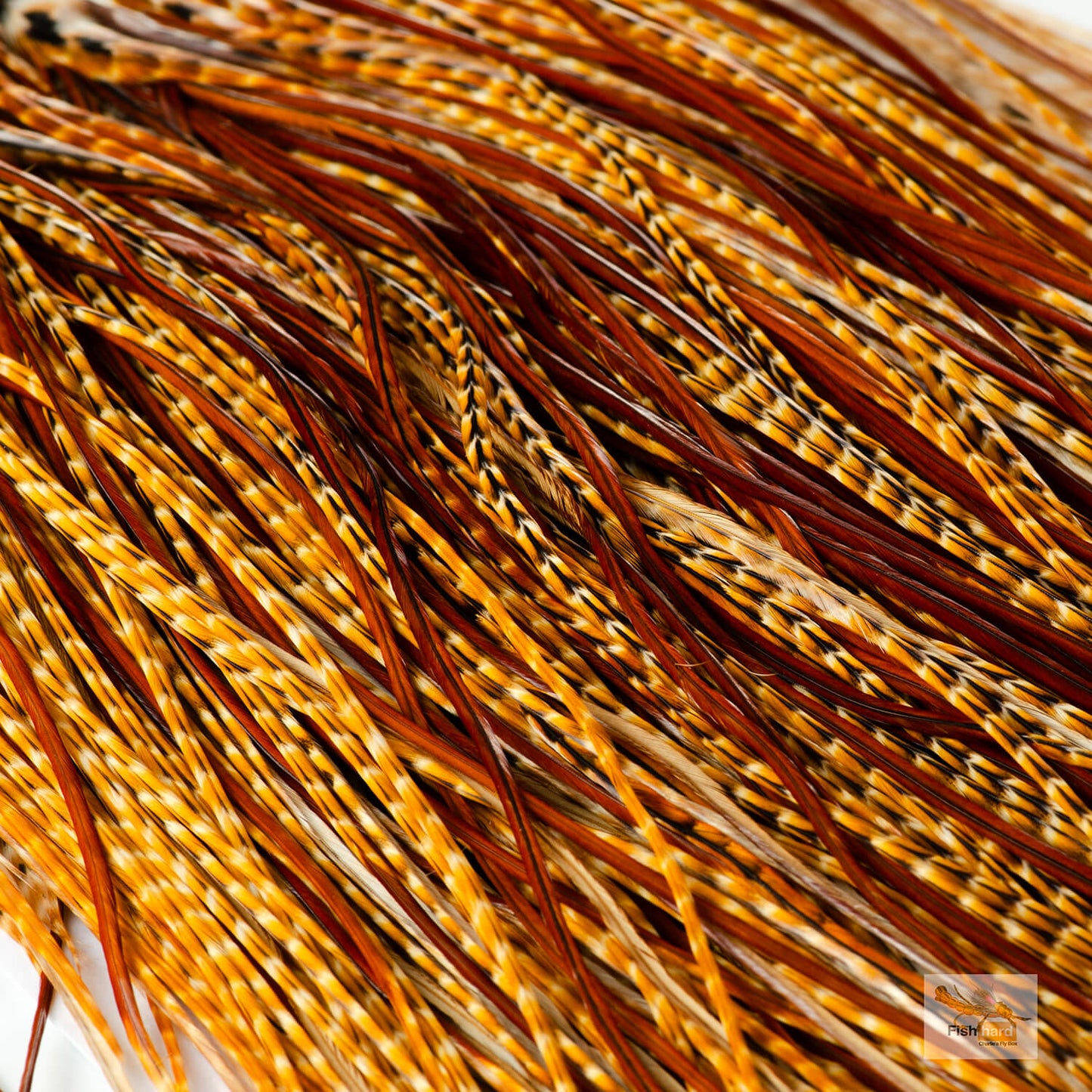 Whiting Bronze Grade Midge Saddle, Barred Dark Ginger