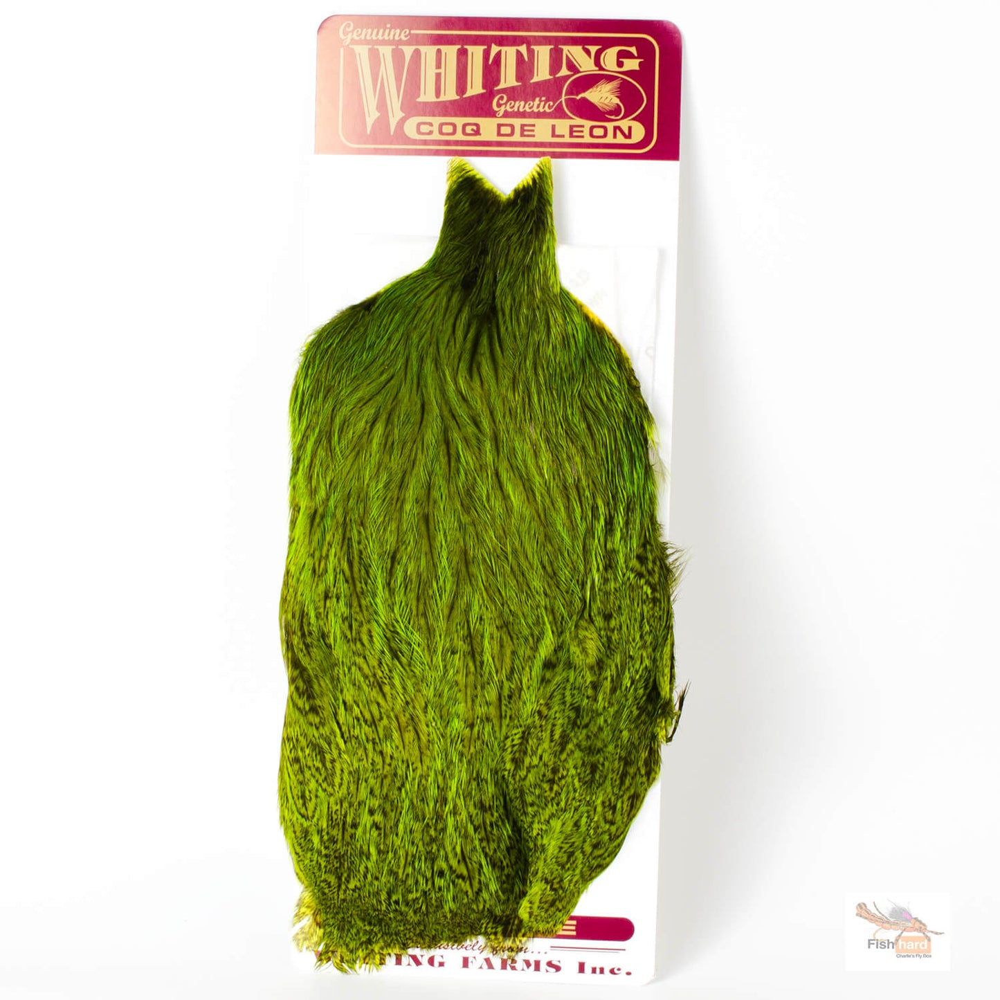 Whiting Coq de Leon (CDL) Hen Capes