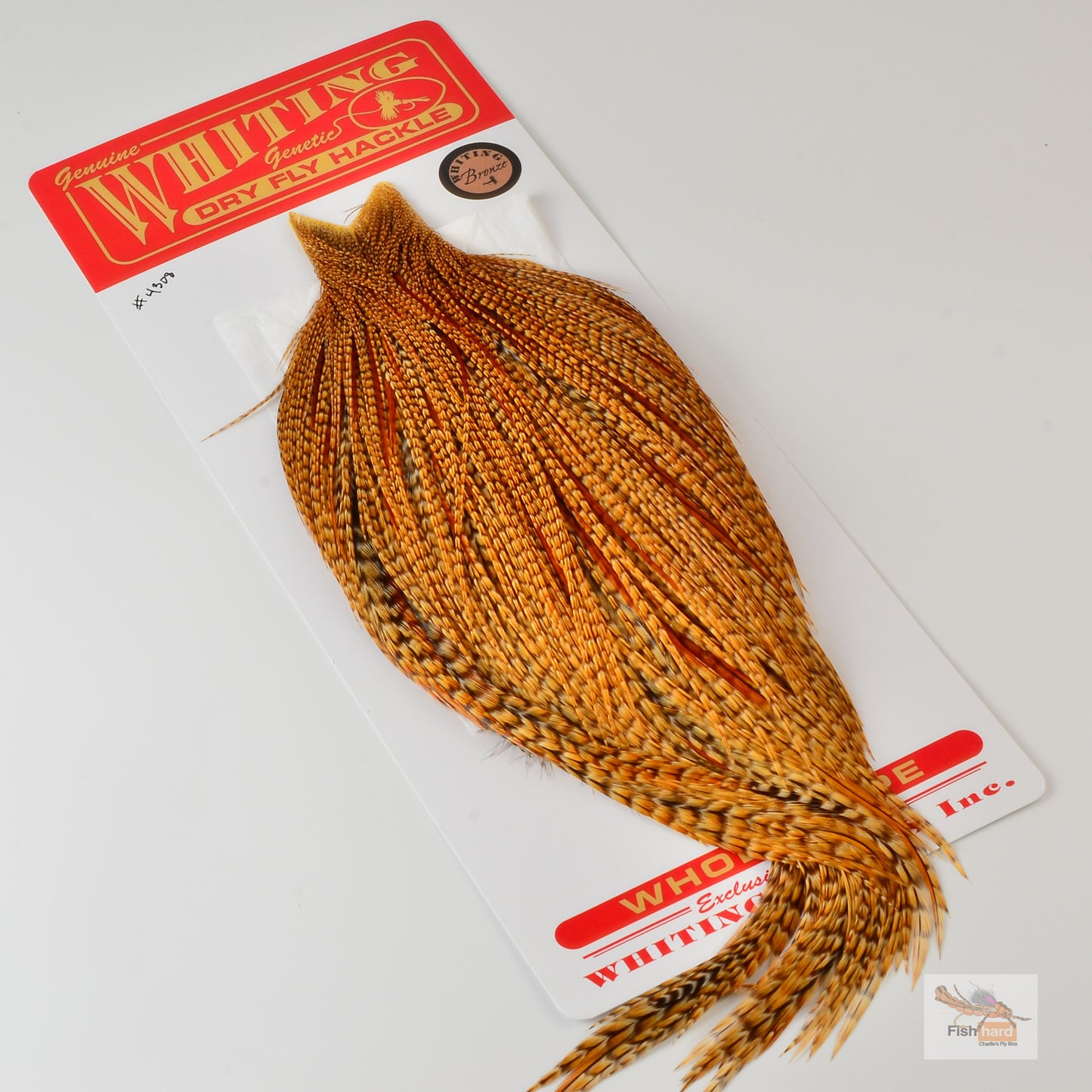 Whiting Bronze Grade Cape, Cree