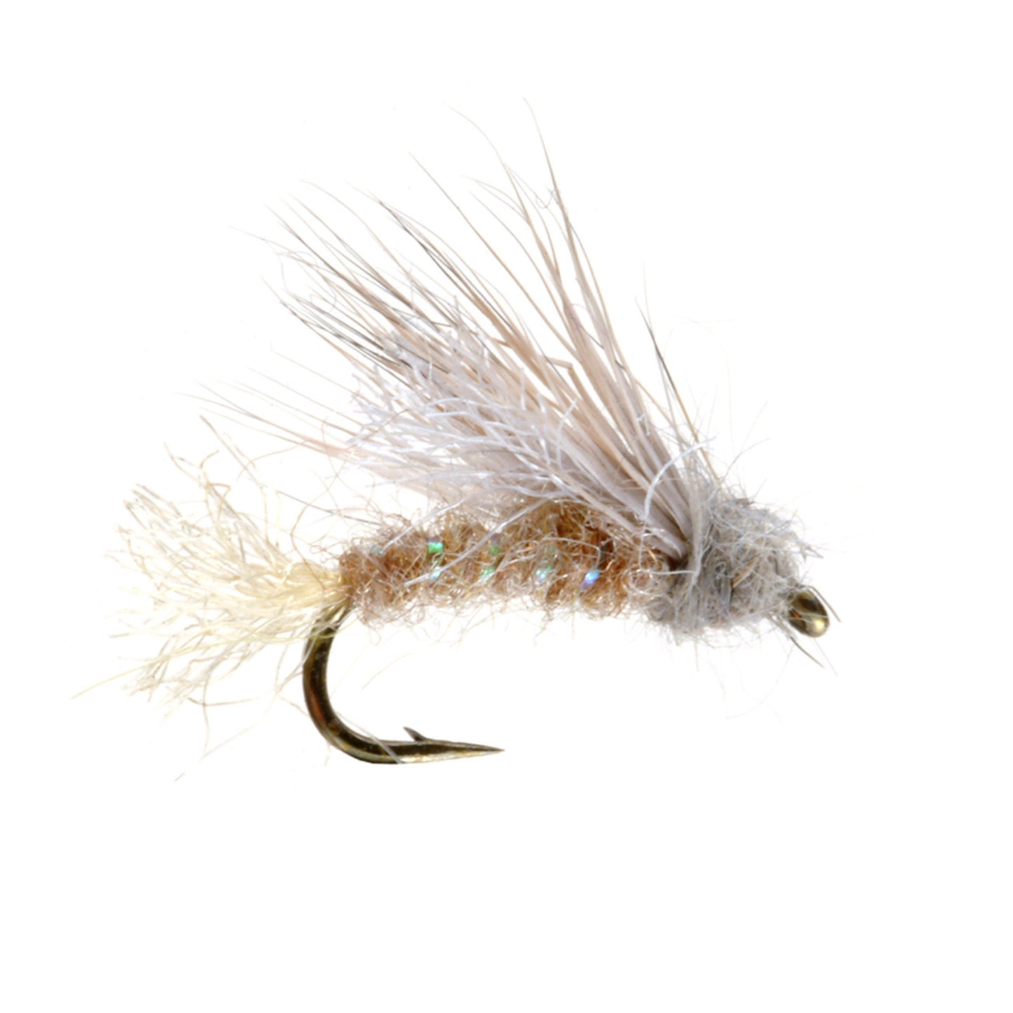 X2-Caddis