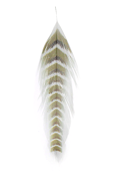 Galloup's Fish Feathers