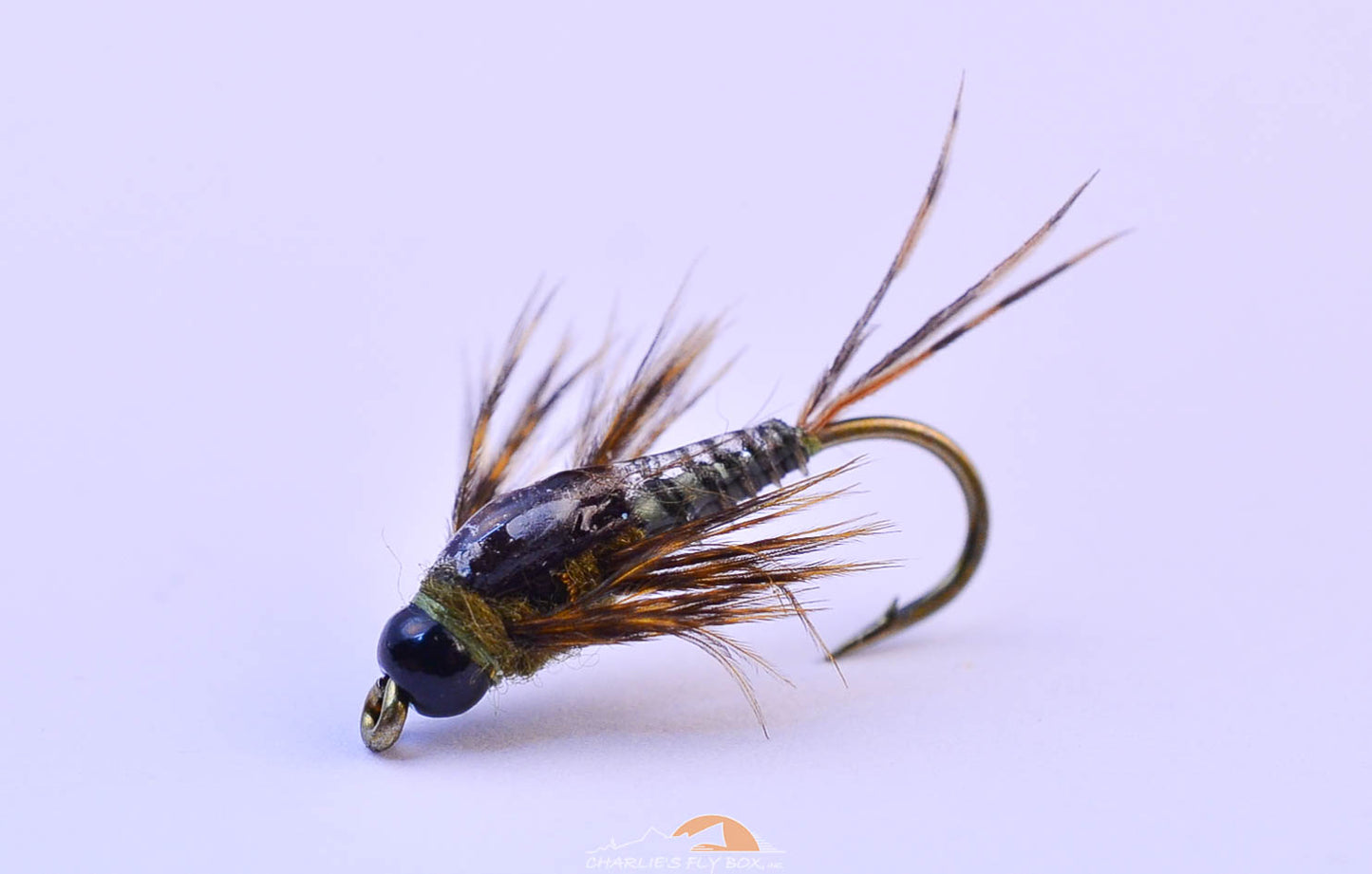 Two Bit Drake, Craven's
