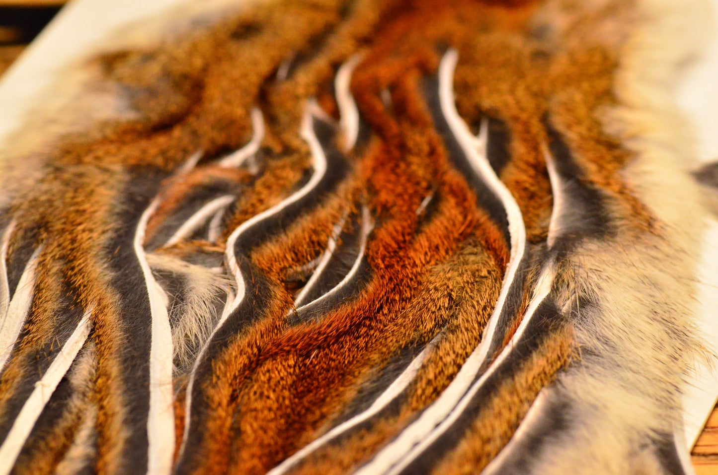 Whole Zonker Cut Squirrel Skins