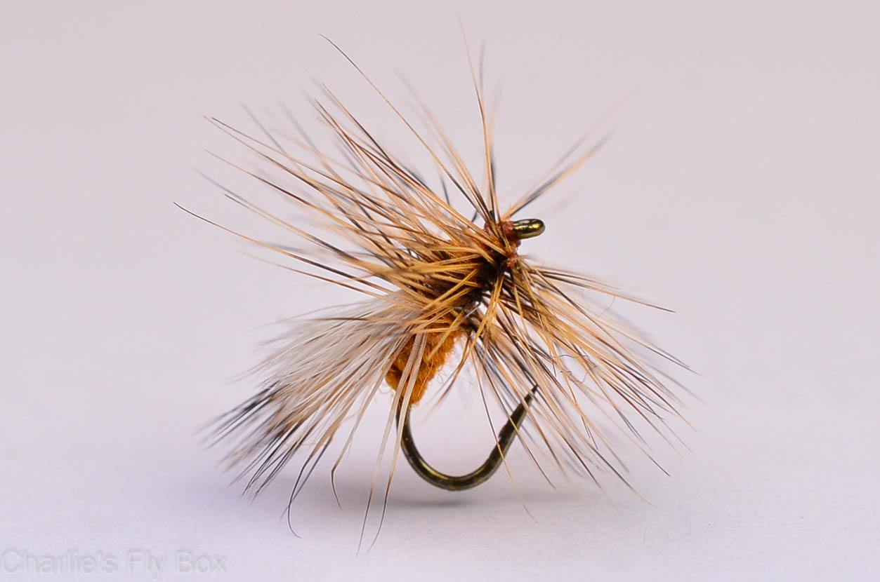 Chuck's Caddis Variant, Ginger