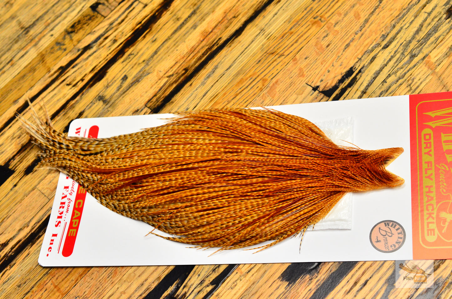 Whiting Bronze Grade Cape, Barred Dark Ginger