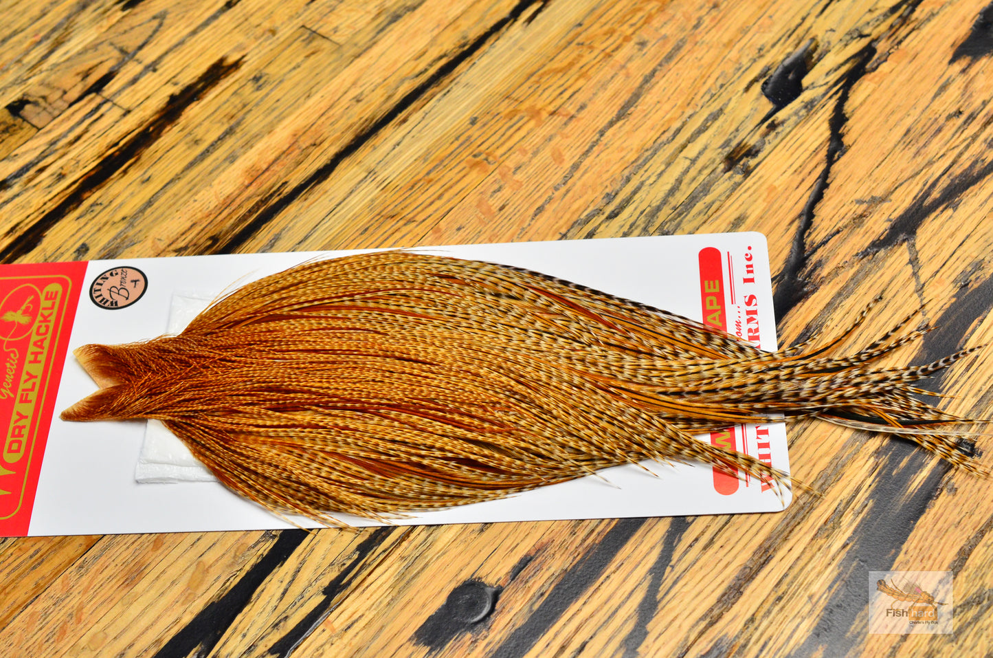 Whiting Bronze Grade Cape, Barred Dark Ginger