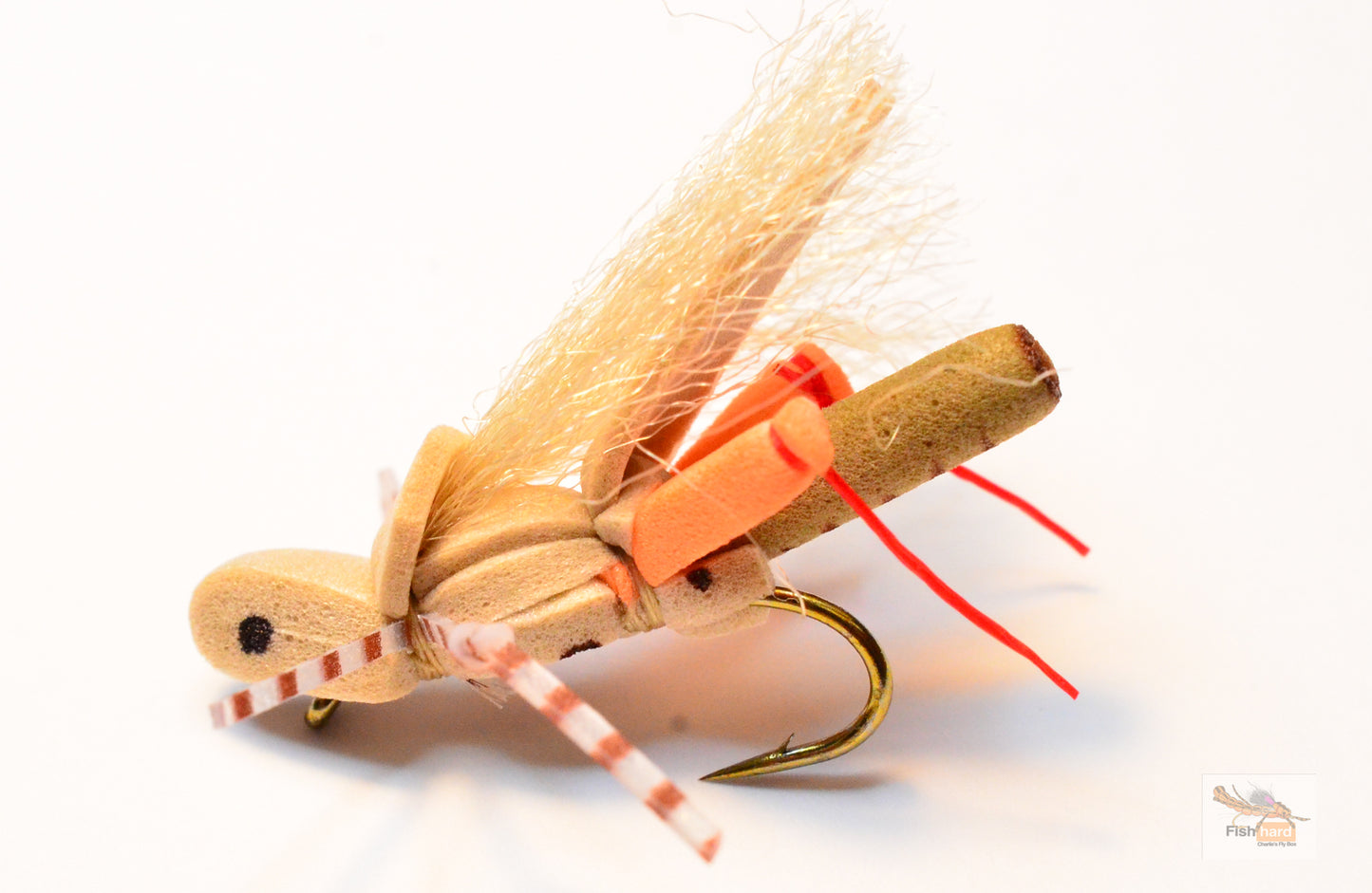 Thunder Grass Hopper