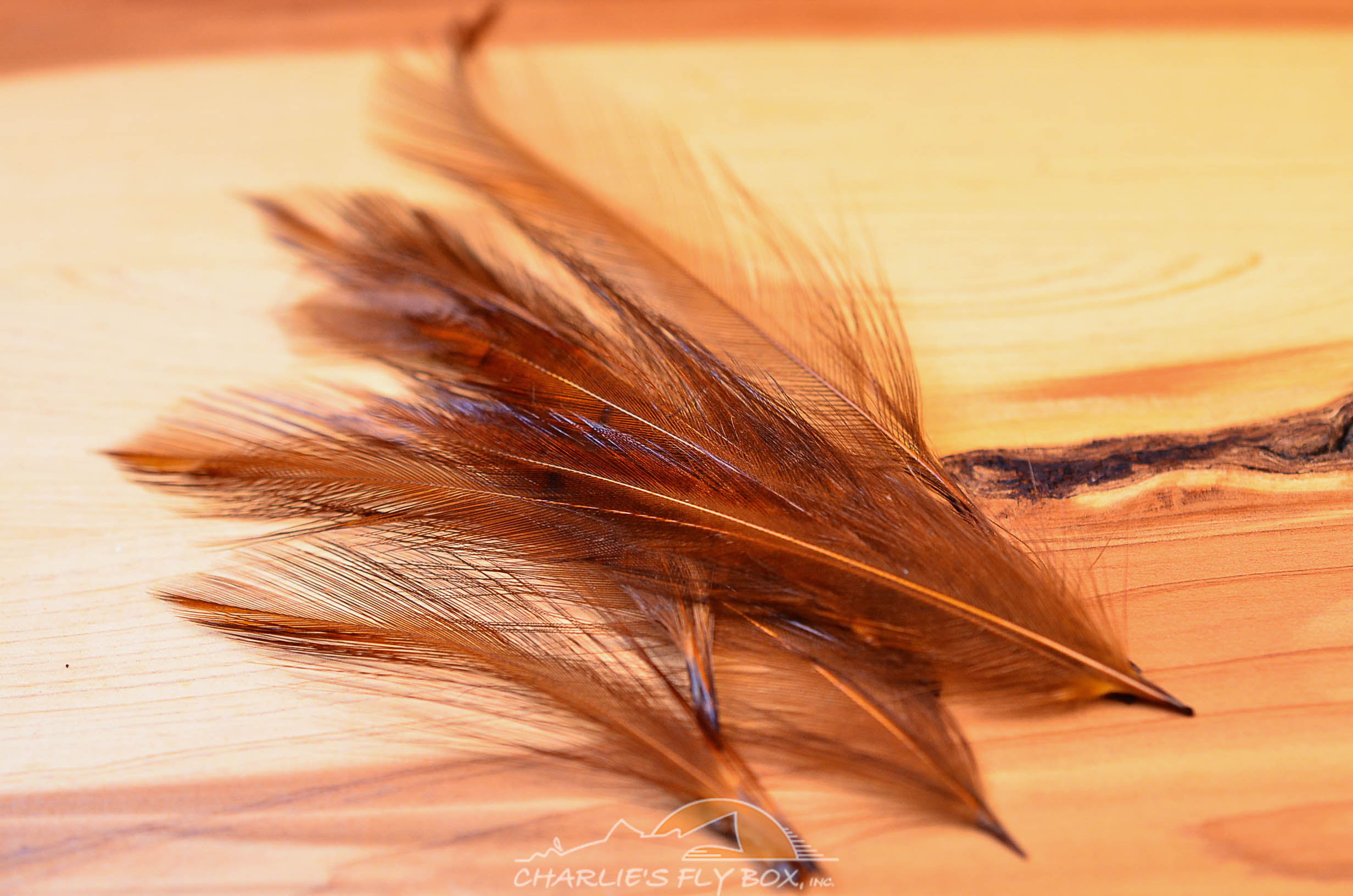 Nature's Spirit Dry Fly Tailing Packs (Spade Hackle) – charliesflybox