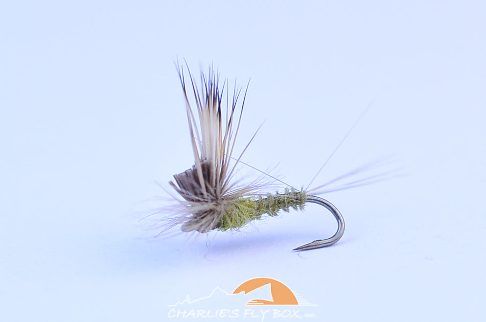 Tilt Wing Dun