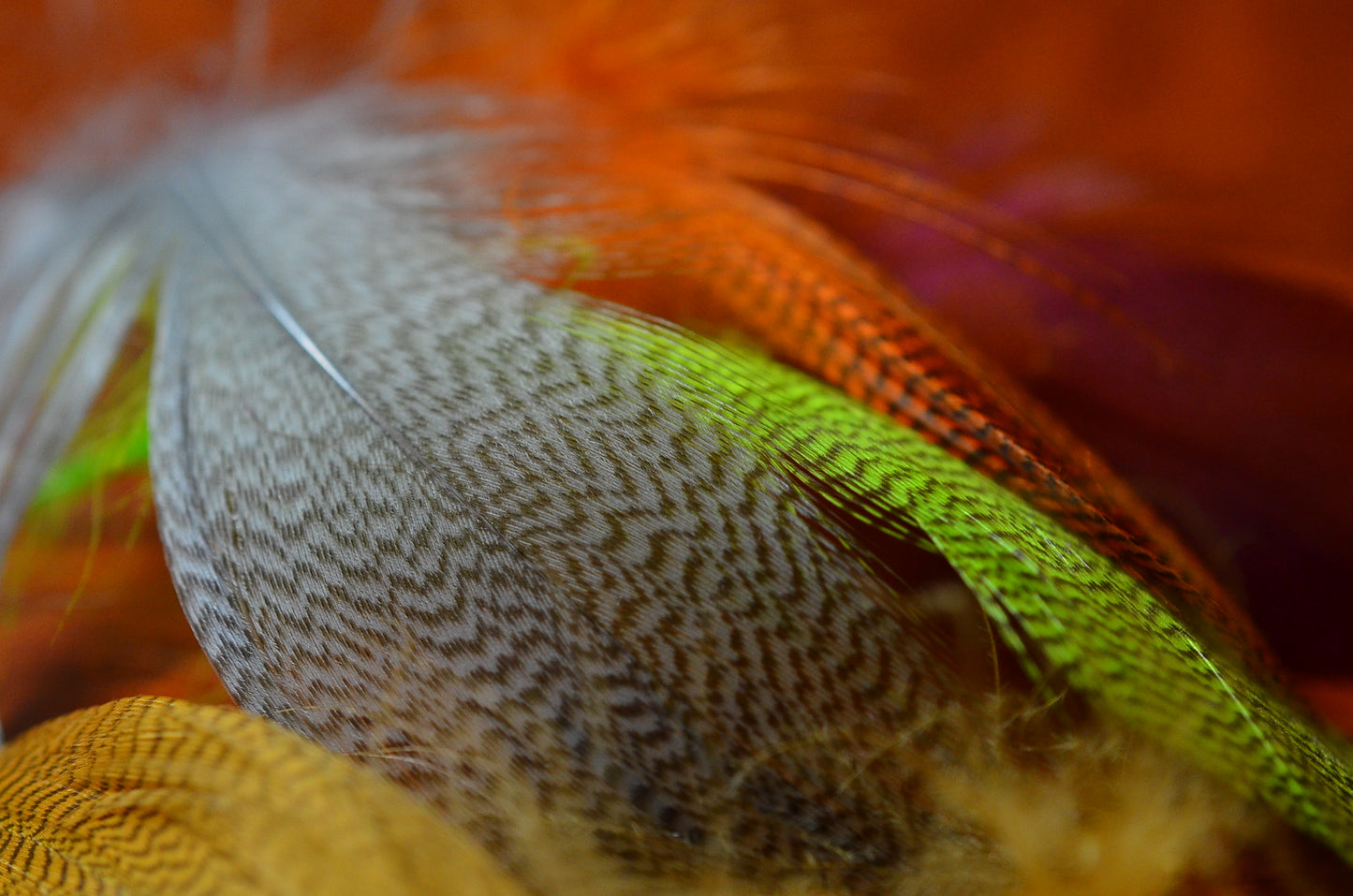 Big Pack Mallard Flank