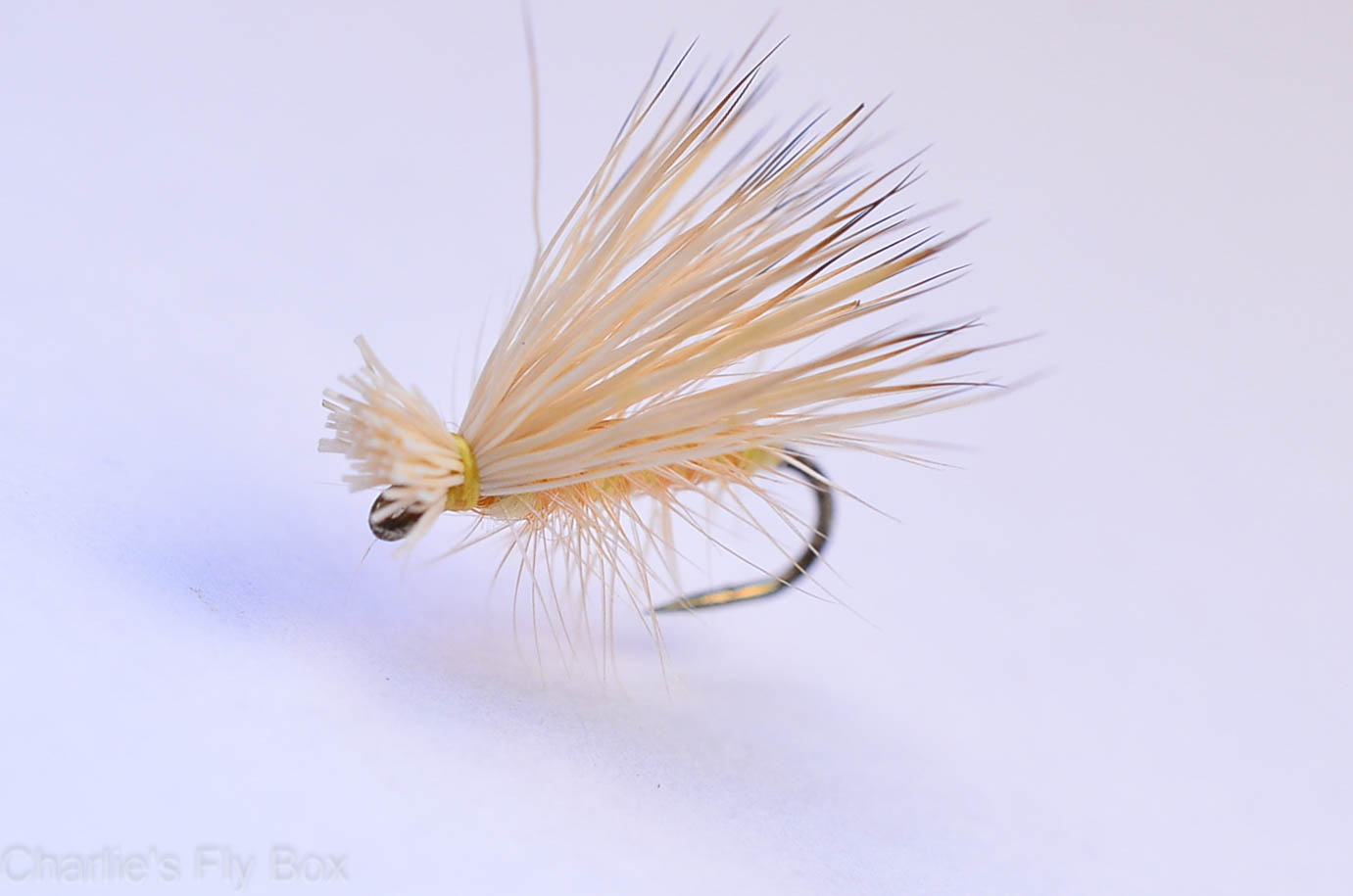 Elk Hair Caddis