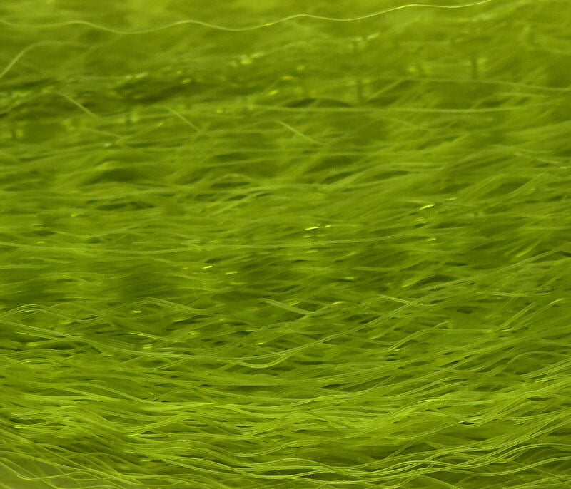 Super Hair, aka Supreme Hair