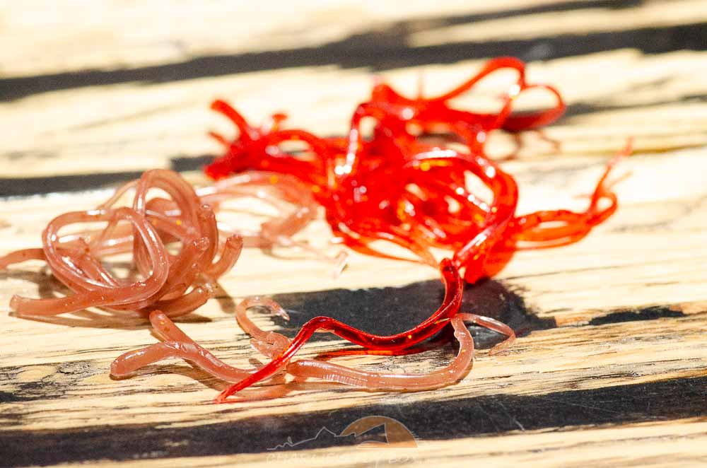 Mini Squiggle Worms